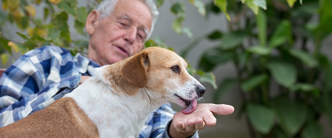 Man interacting with dog